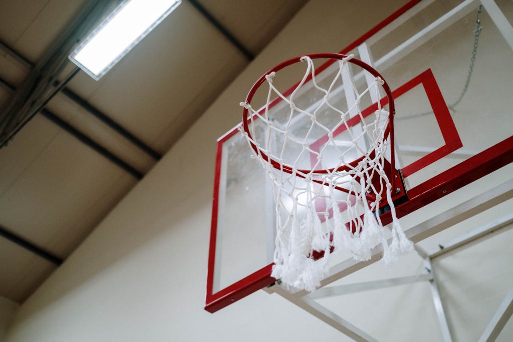Basketball Rim - Alton Max Sports